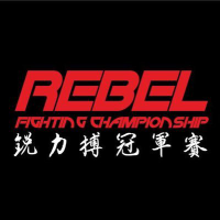 Rebel Group Inc