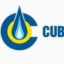 Cub Energy Inc