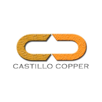 Castillo Copper Ltd