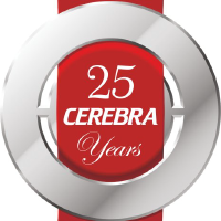 Cerebra Integrated Technologies Limited stock logo