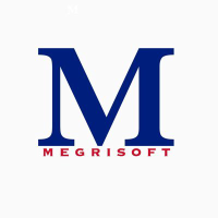 Megri Soft Limited stock logo