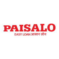 Paisalo Digital Limited stock logo
