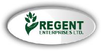 Regent Enterprises Limited stock logo