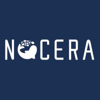 Nocera Inc